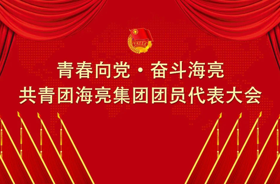 青春向党 · 奋斗海亮丨共青团博鱼官方· (中国)官方网站团员代表大会召开